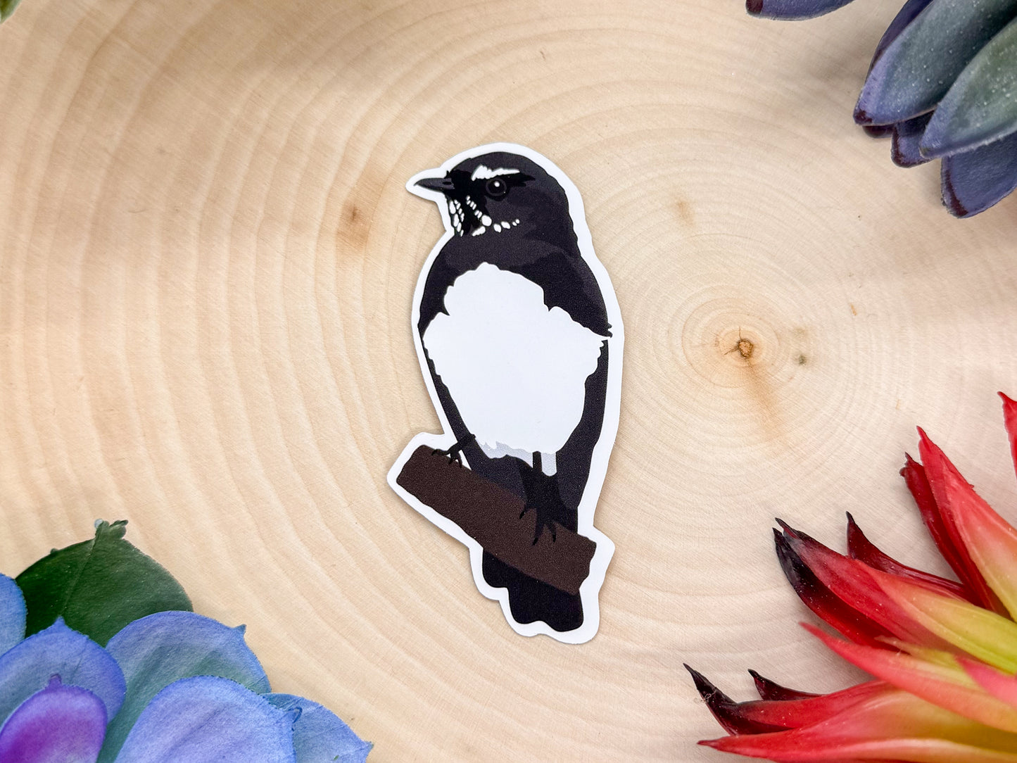 Willie Wagtail Sticker