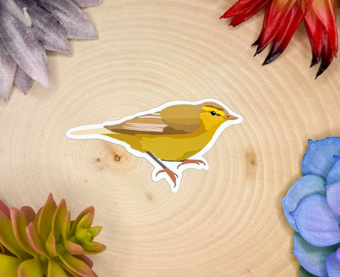 Willow Warbler Sticker