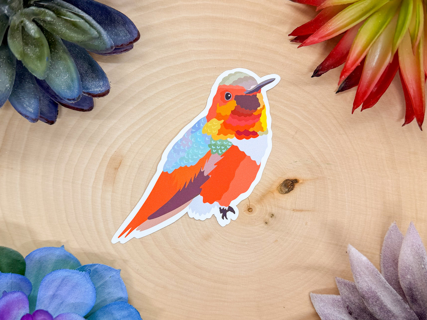 Allens Hummingbird Sticker