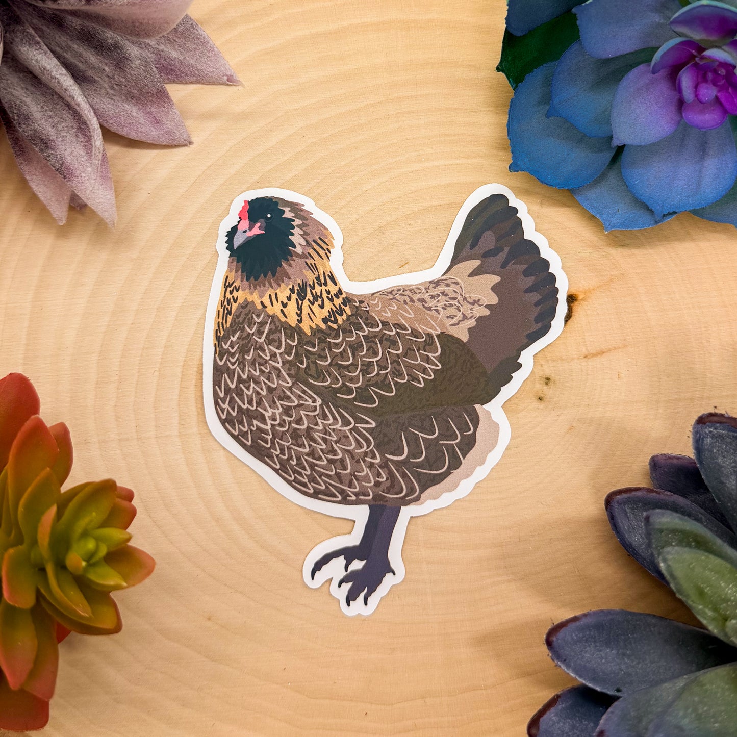 Ameraucana Chicken Sticker