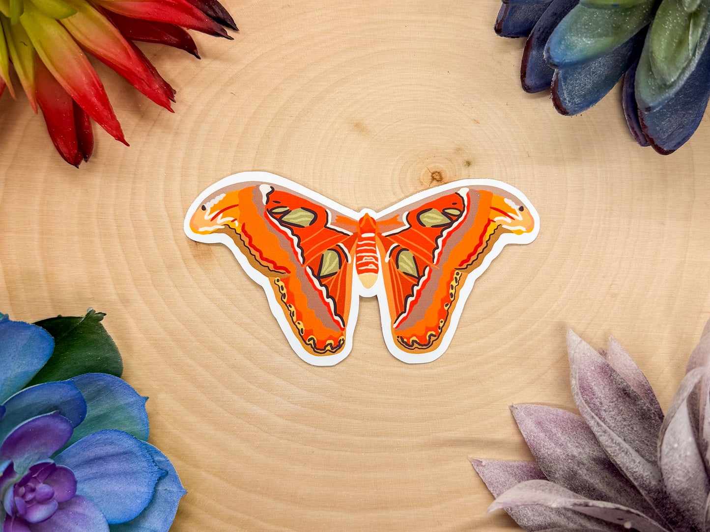 Atlas Moth Sticker