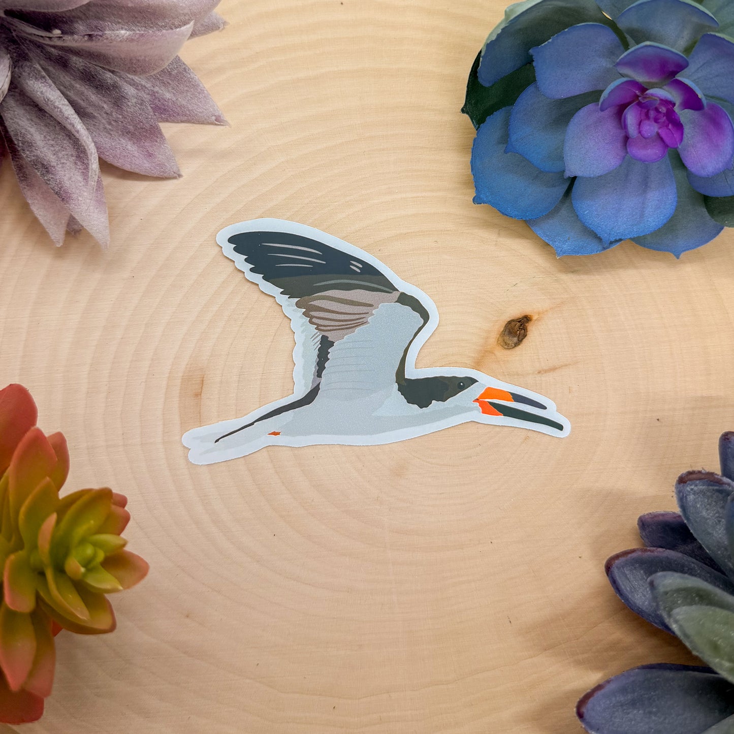 Black Skimmer Sticker