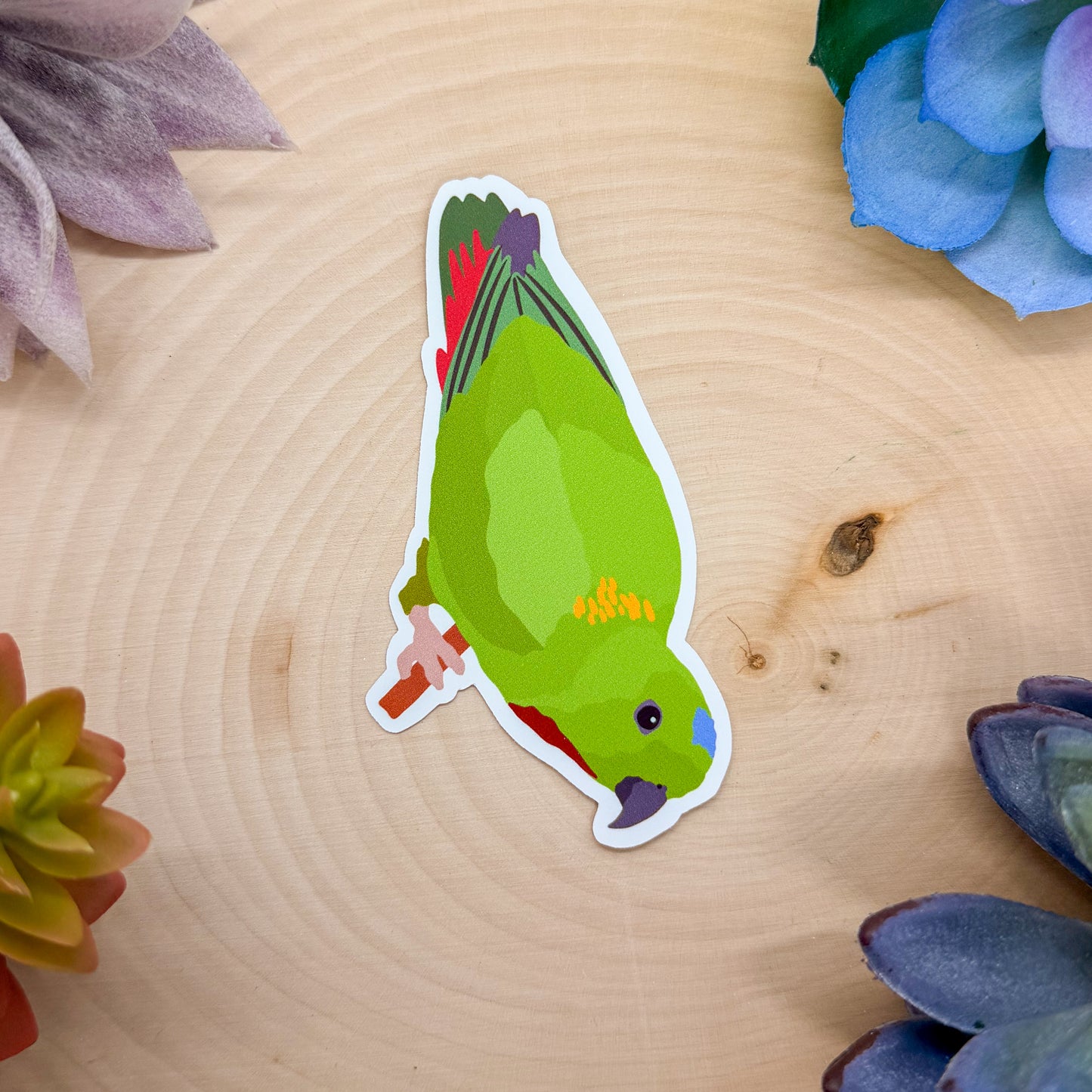 Blue Crowned Hanging Parrot Sticker