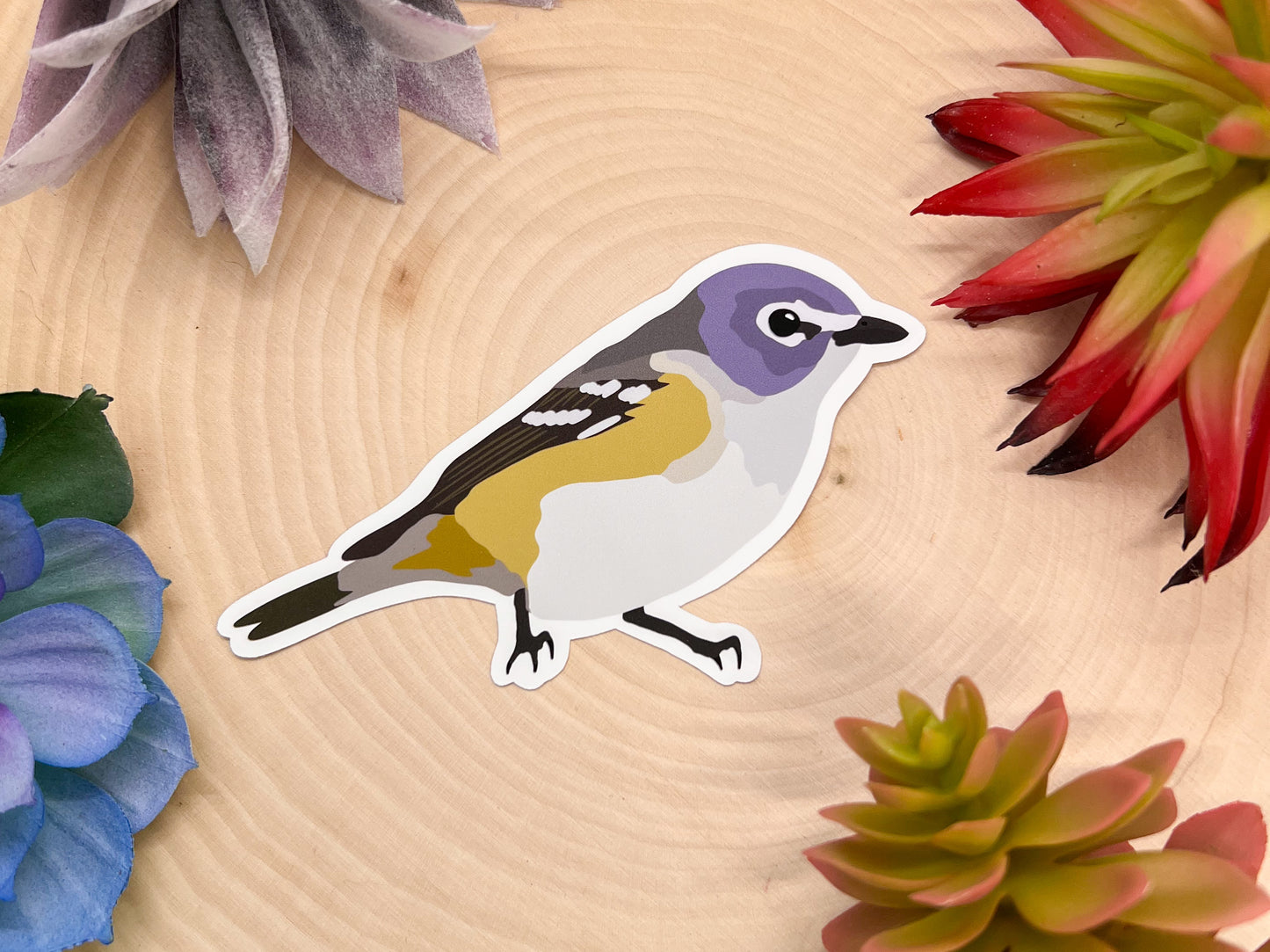Blue Headed Vireo Sticker