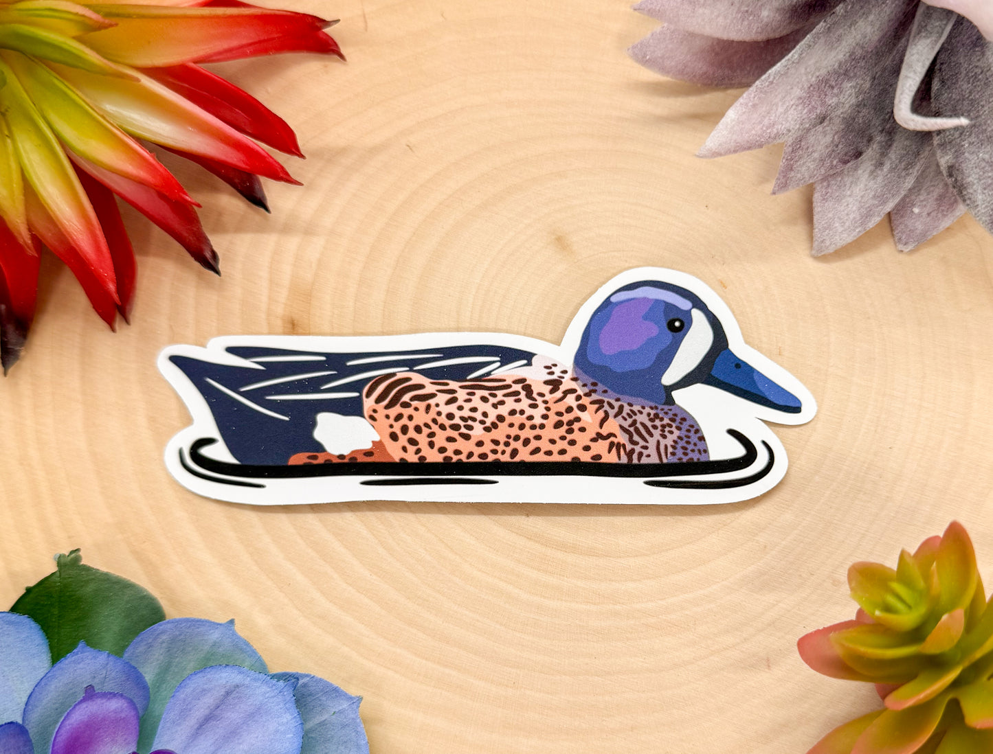 Blue Winged Teal Sticker
