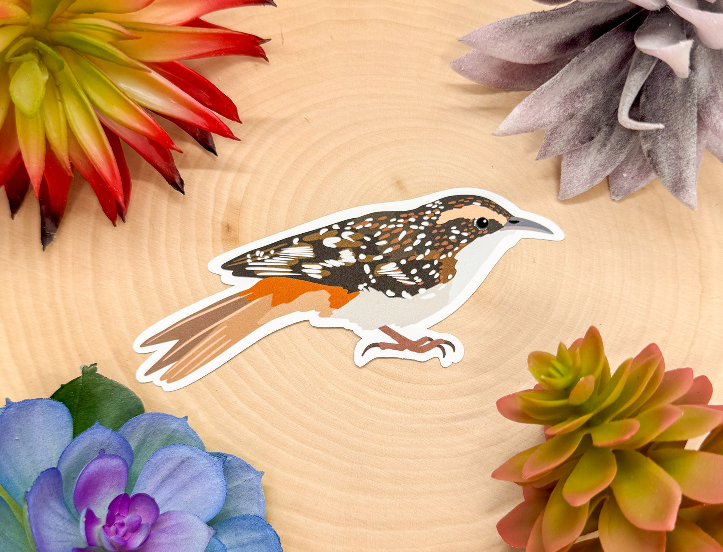 Brown Creeper Sticker