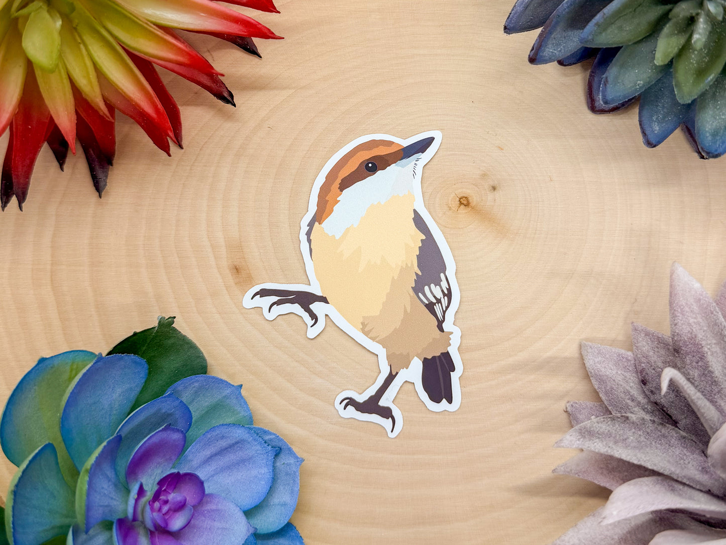 Brown Headed Nuthatch Sticker