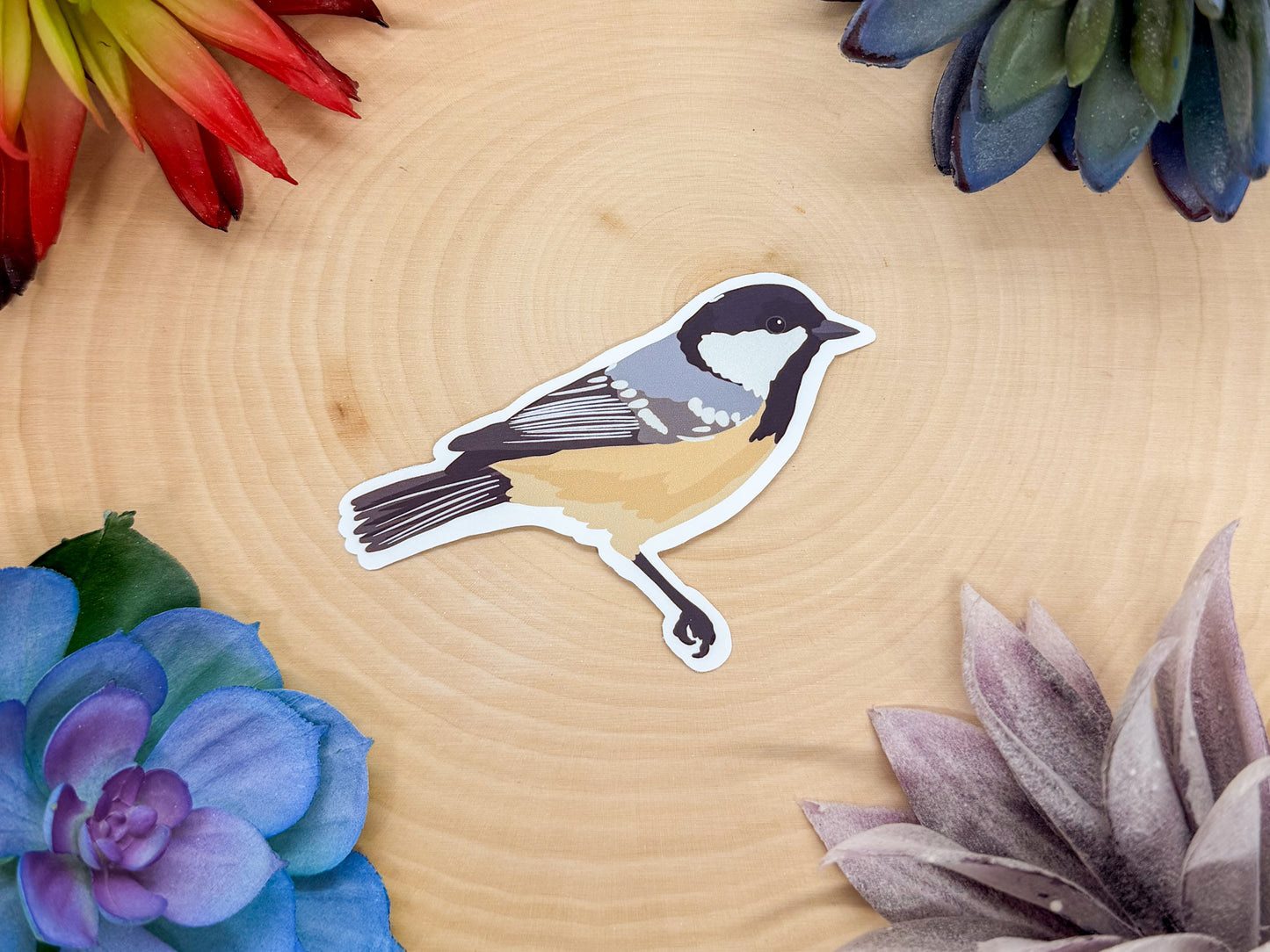 Coal Tit