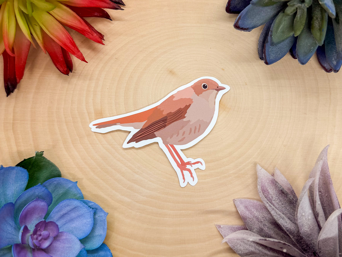Common Nightingale Sticker