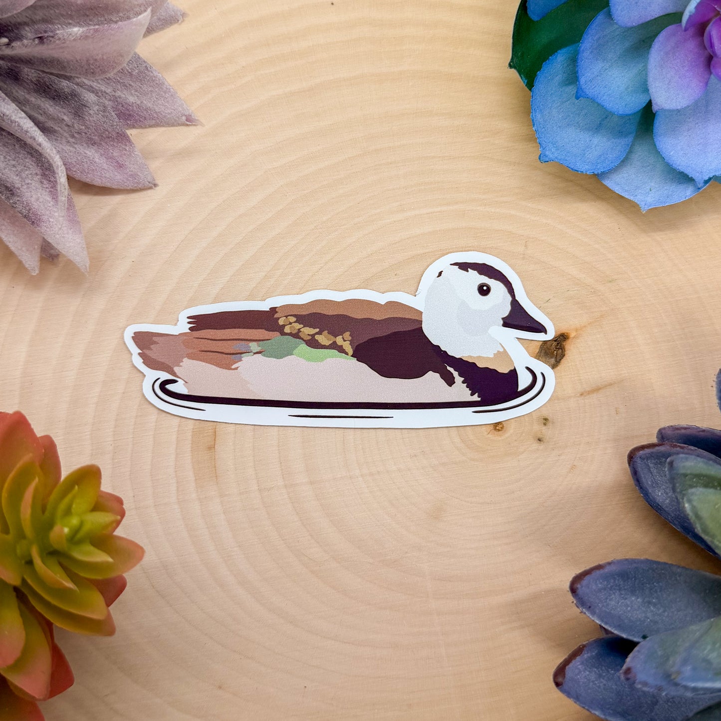Cotton Pygmy Goose Sticker