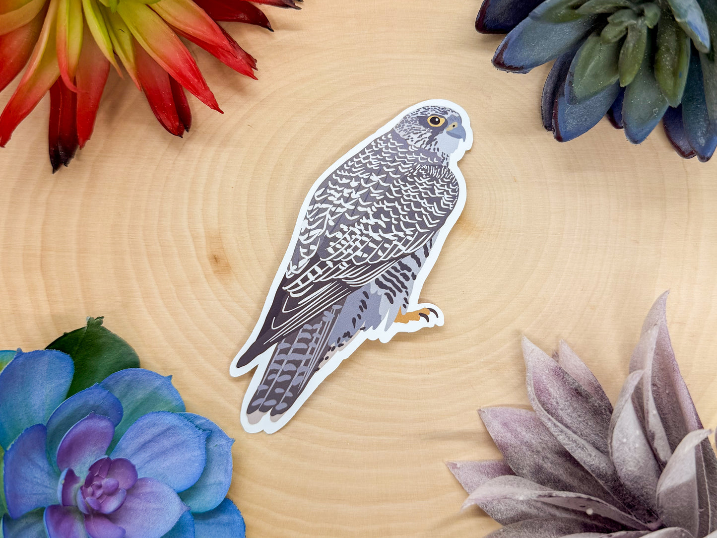 Gyrfalcon Sticker
