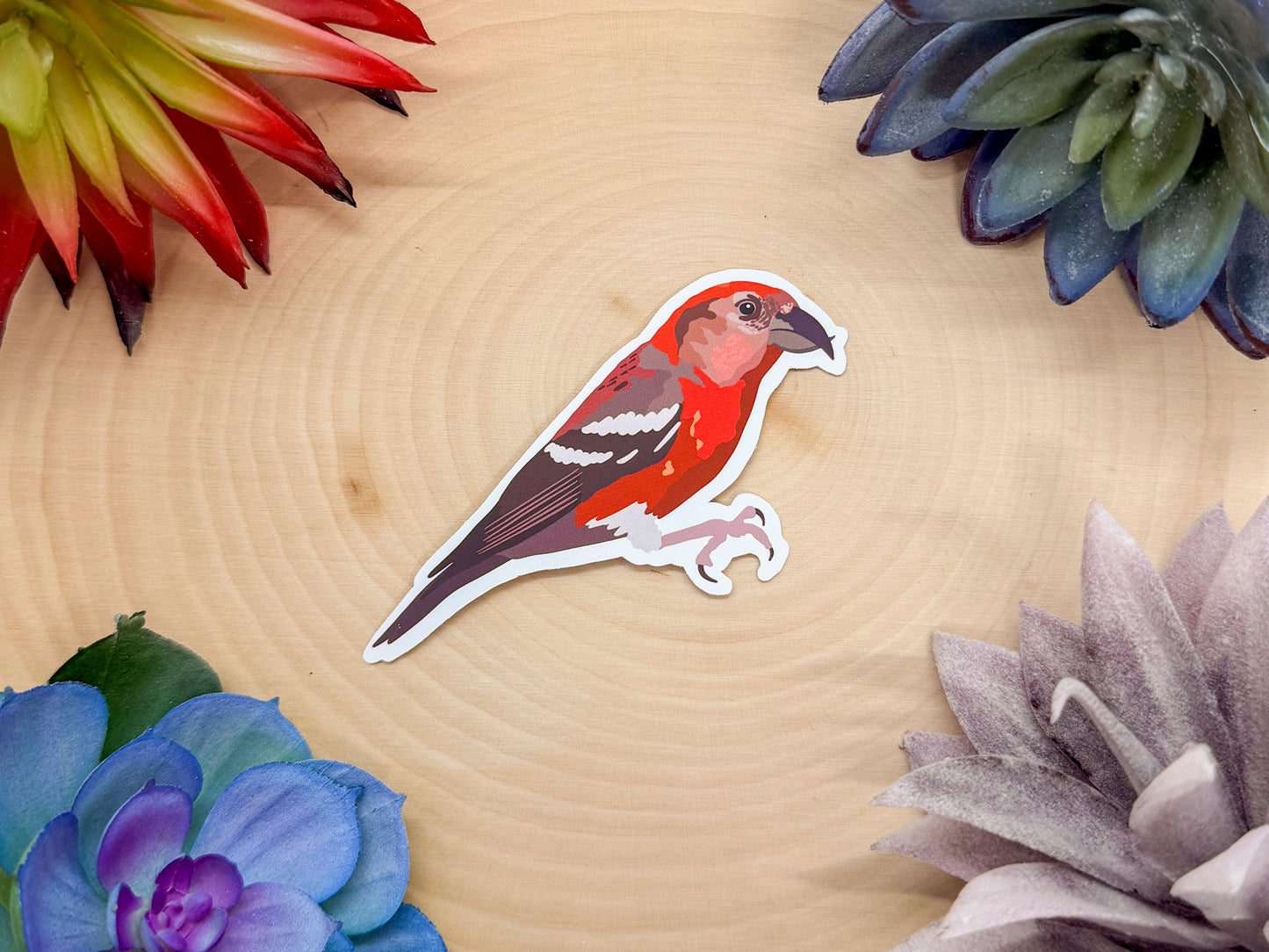 Hispaniolan Crossbill Sticker