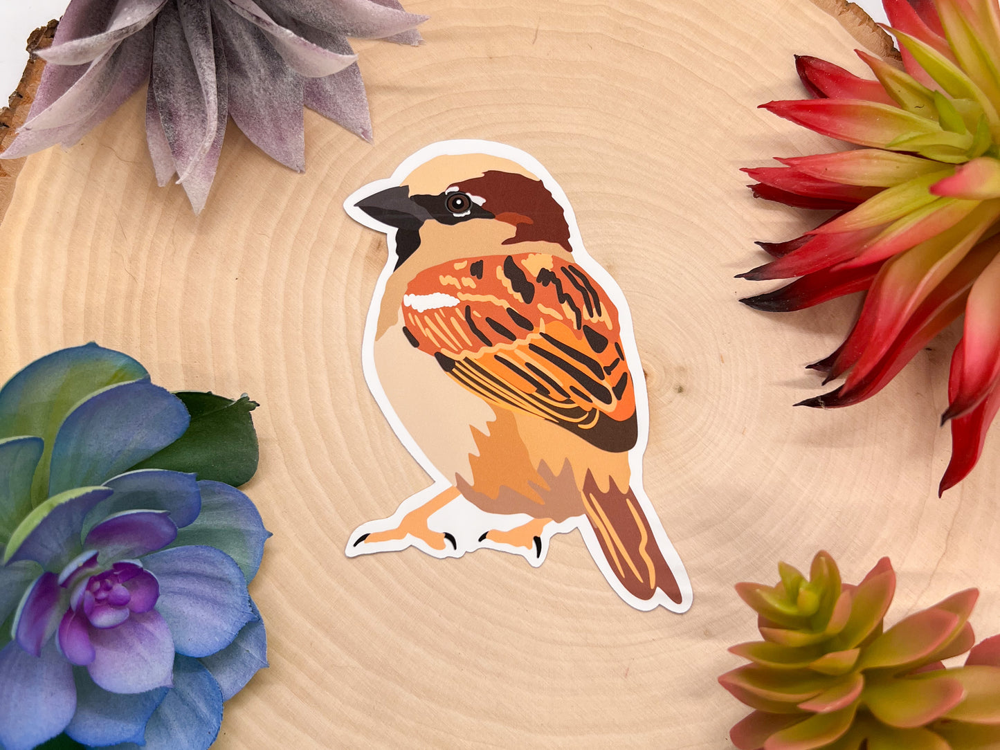 House Sparrow Sticker