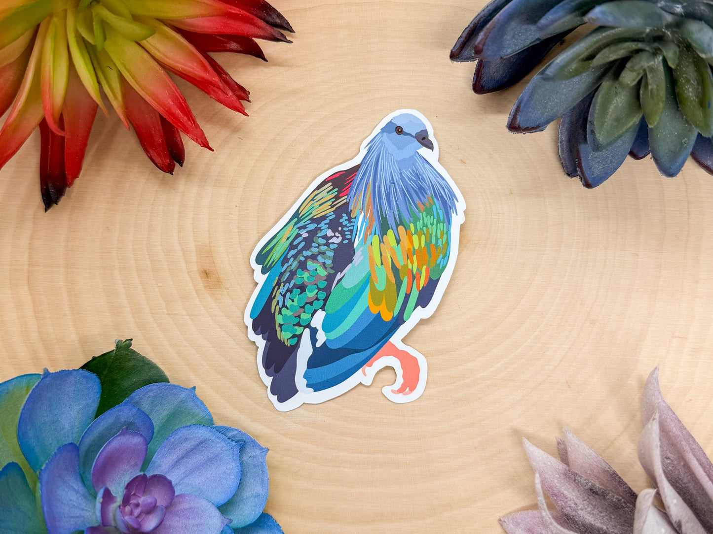 Nicobar Pigeon Sticker