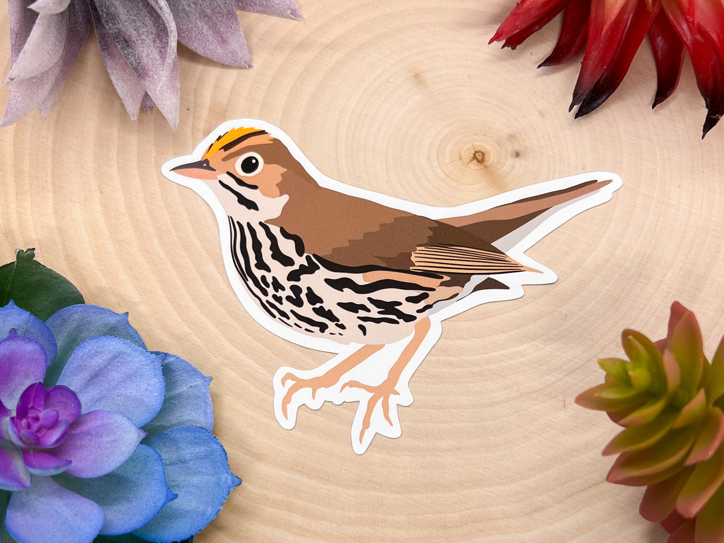 Ovenbird Sticker
