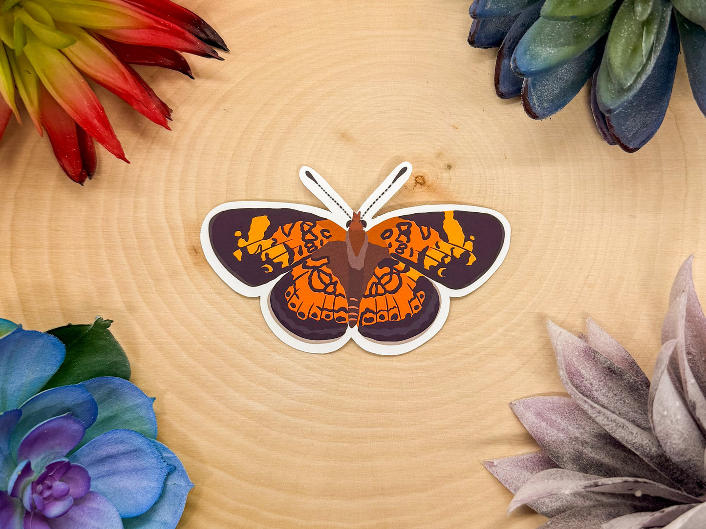 Pearl Crescent Sticker