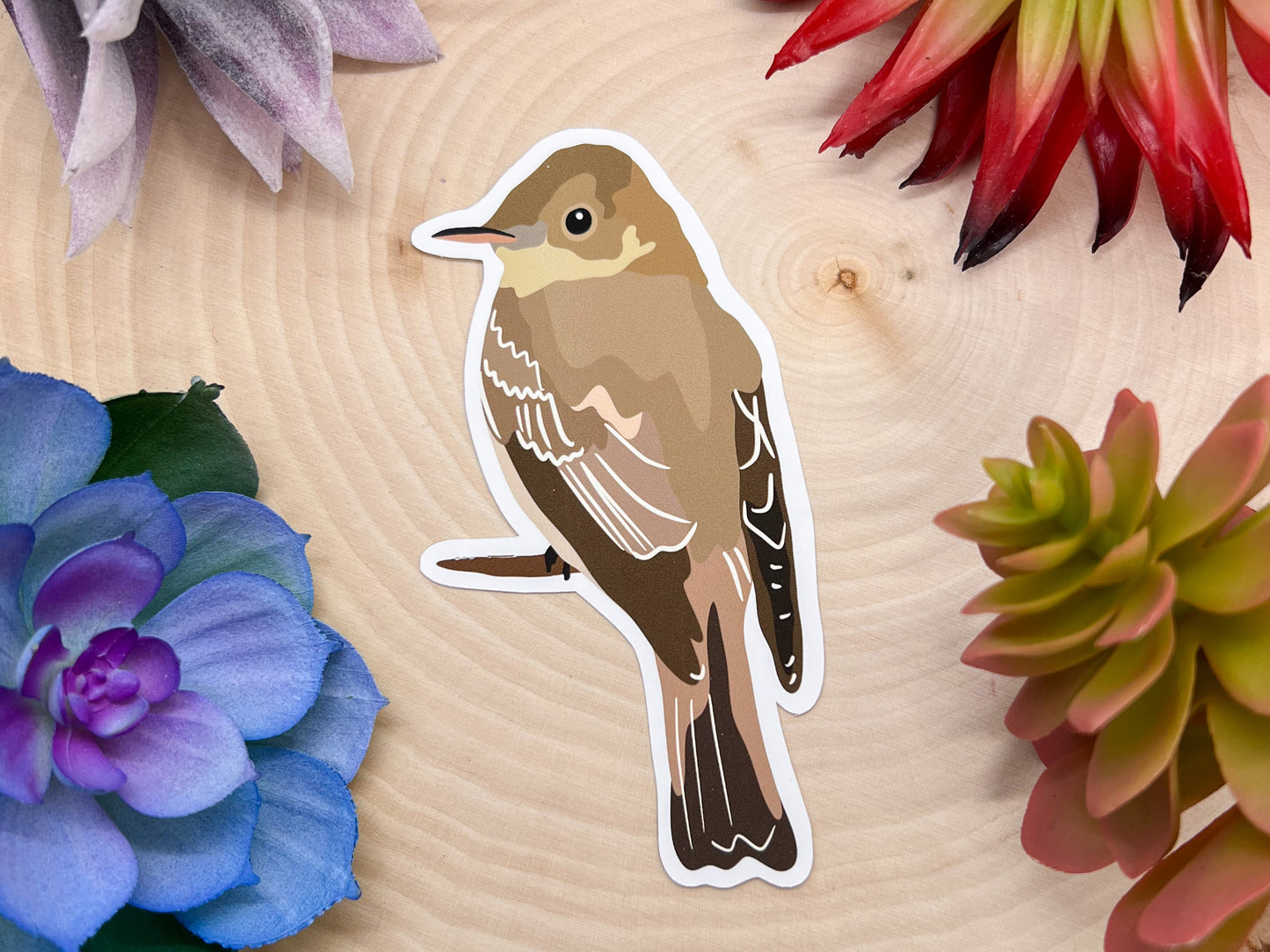 Wood Pewee Sticker