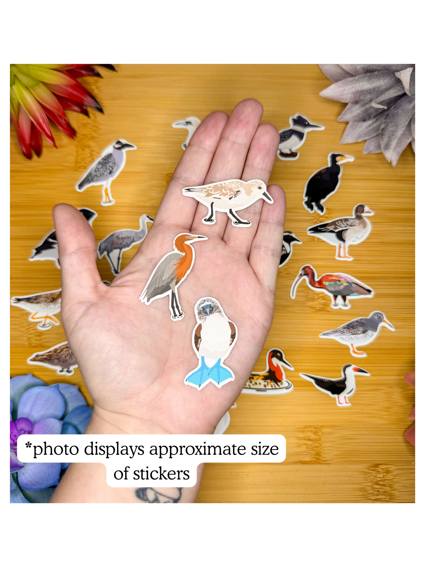 Mini Wading Birds Sticker Pack