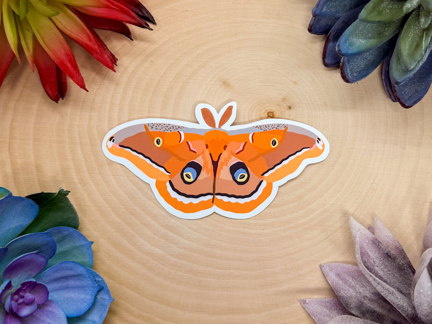 Polyphemus Moth Sticker