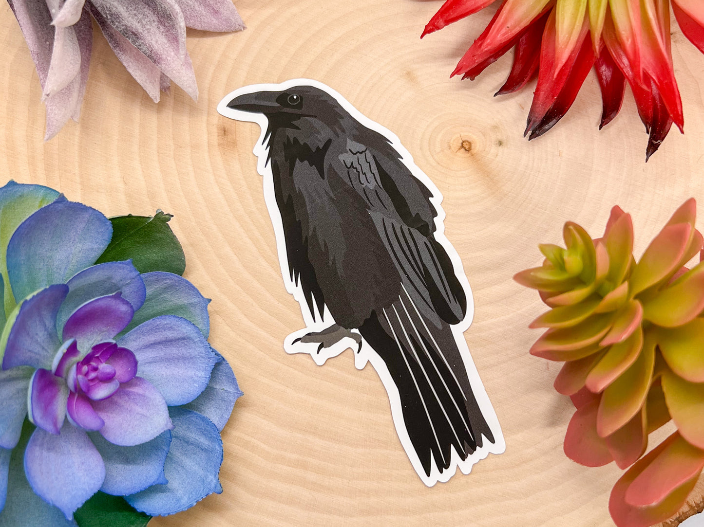 Common Raven Sticker
