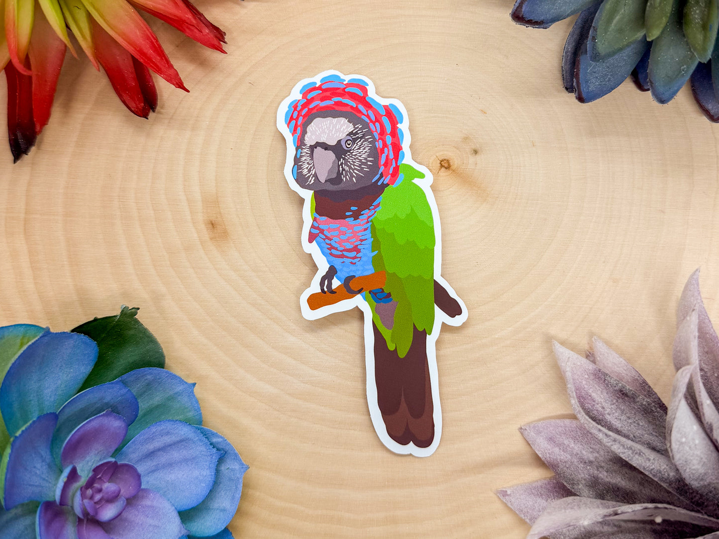 Red Fan Parrot Sticker