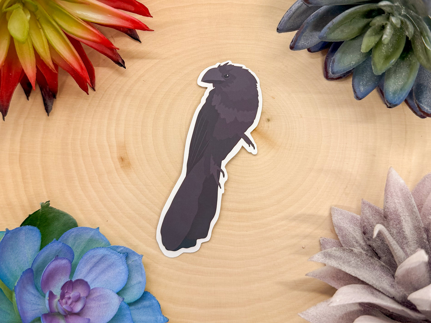 Smooth Billed Ani Sticker