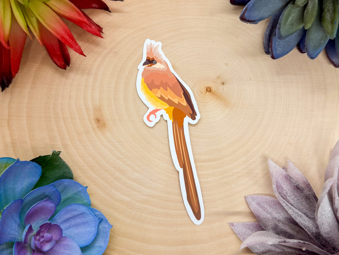 Speckled Mousebird Sticker