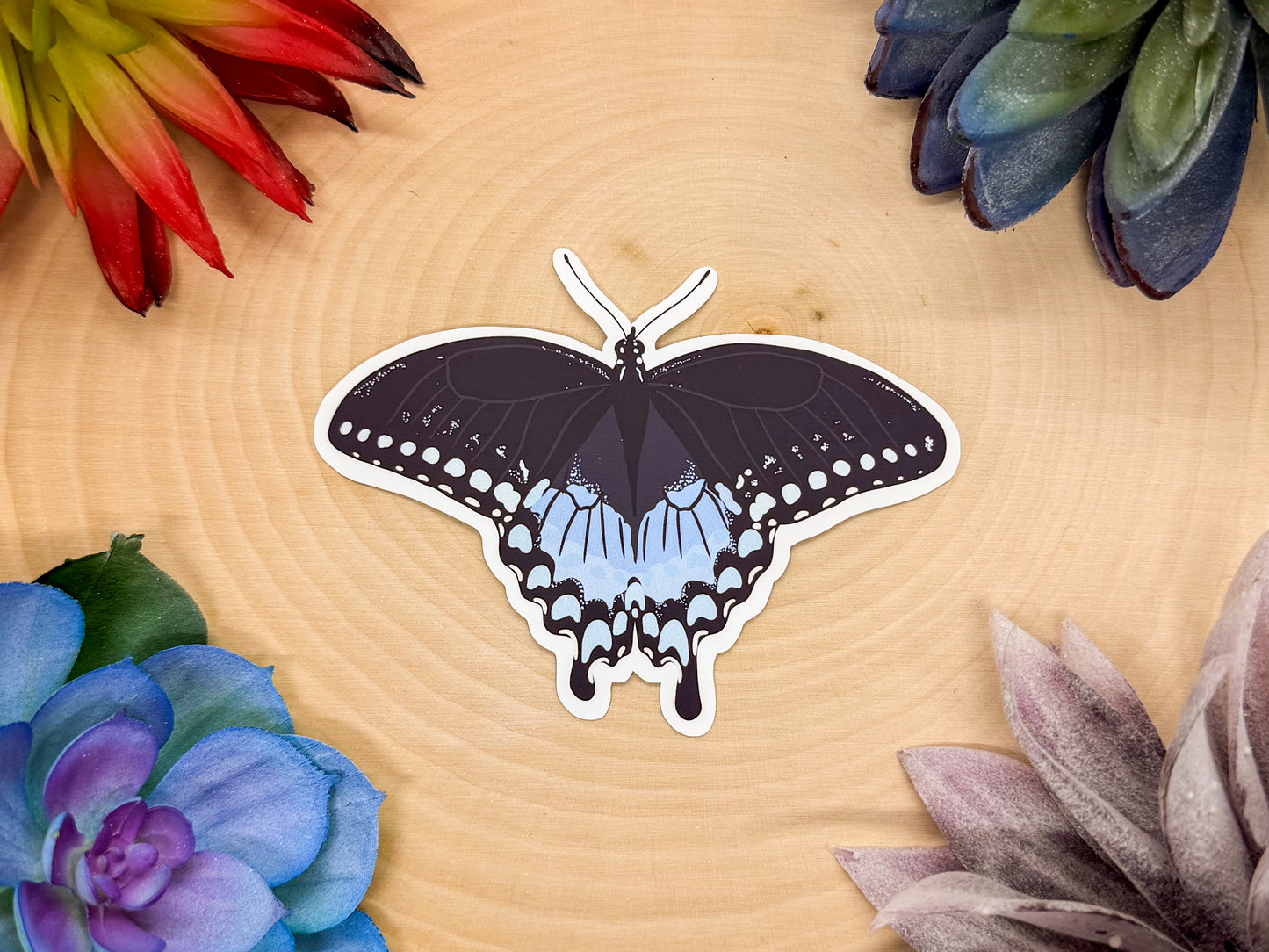 Spicebush Swallowtail Sticker
