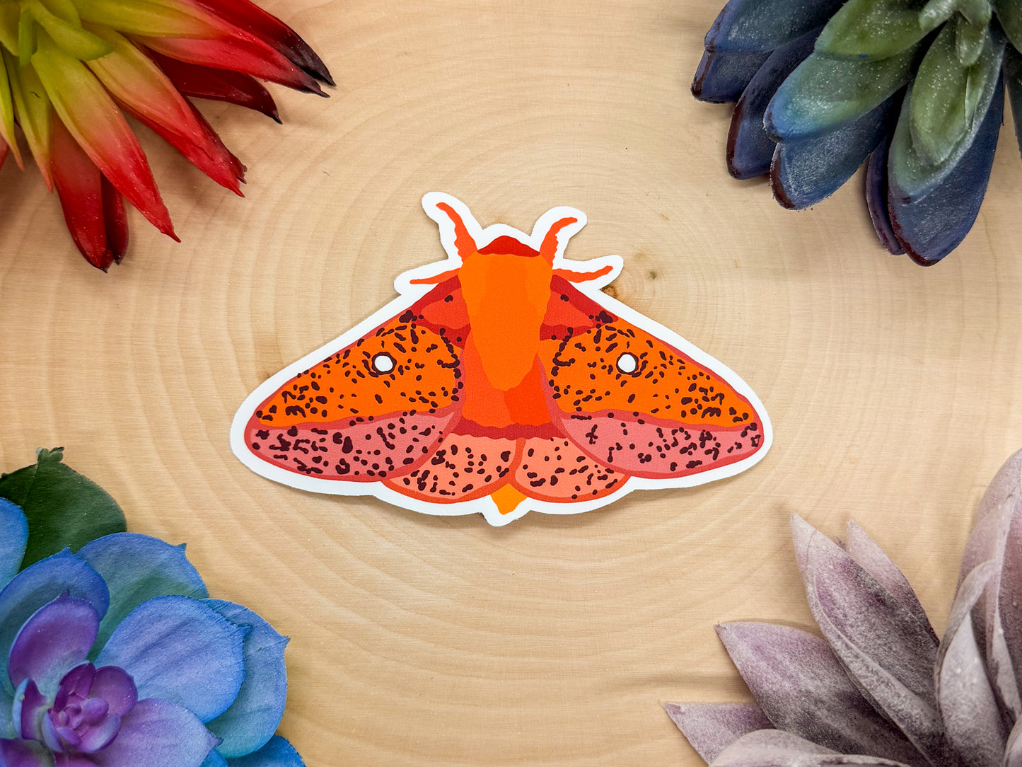 Spiny Oakworm Moth Sticker