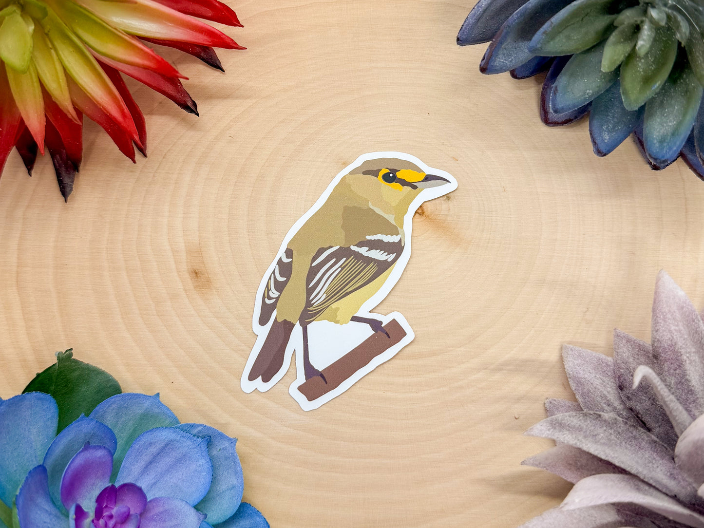 Thick Billed Vireo Sticker