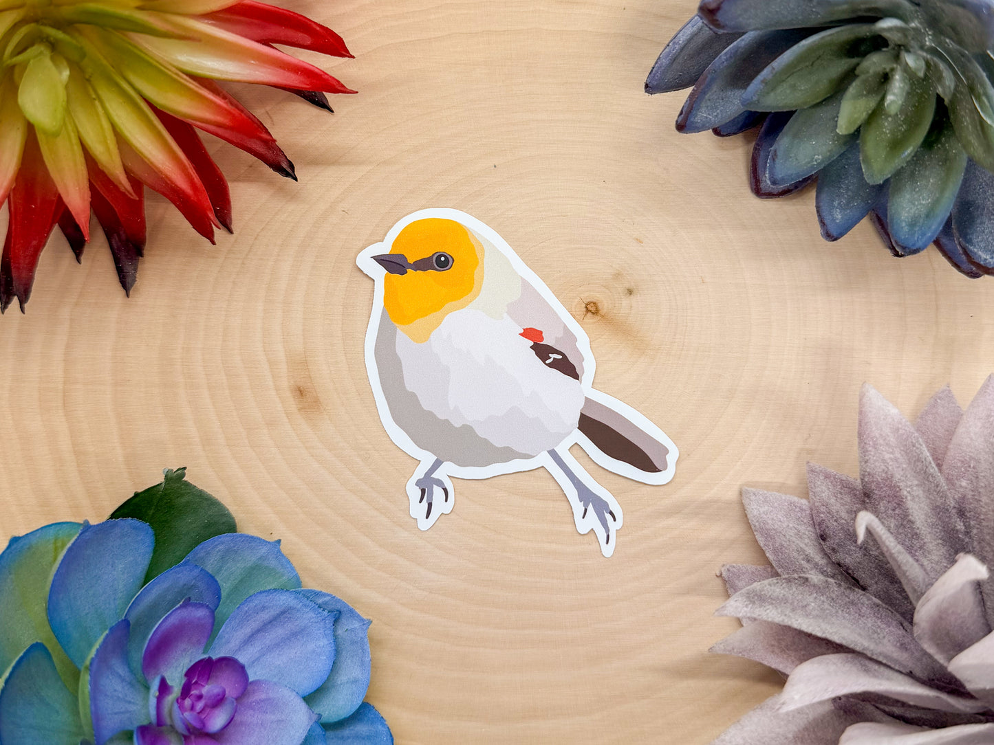 Verdin Sticker
