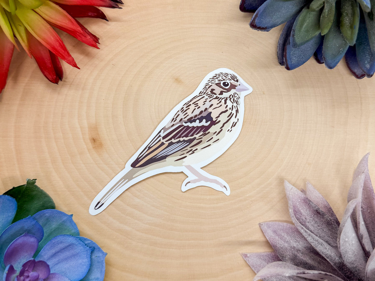 Vesper Sparrow Sticker