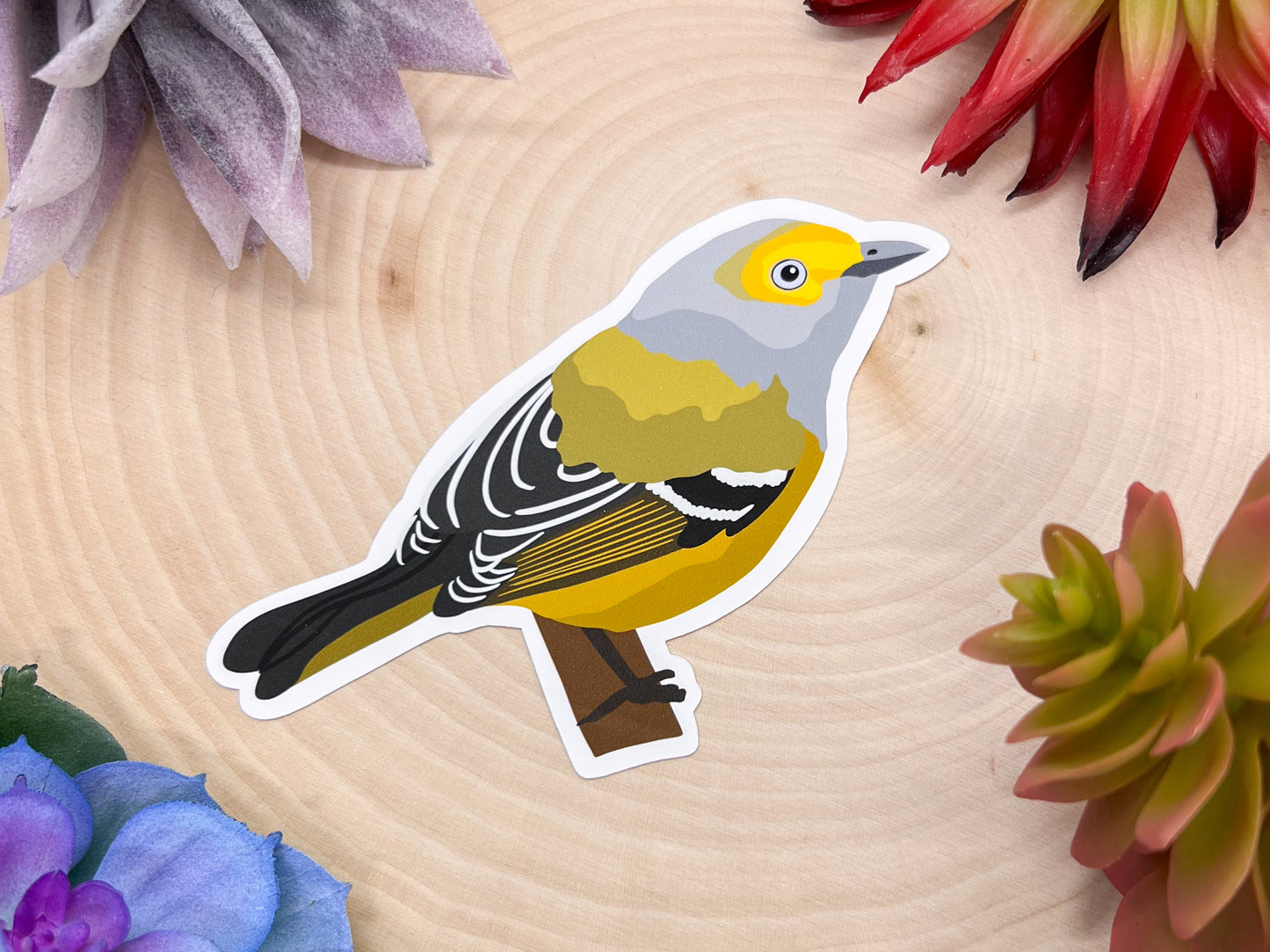 White Eyed Vireo Sticker