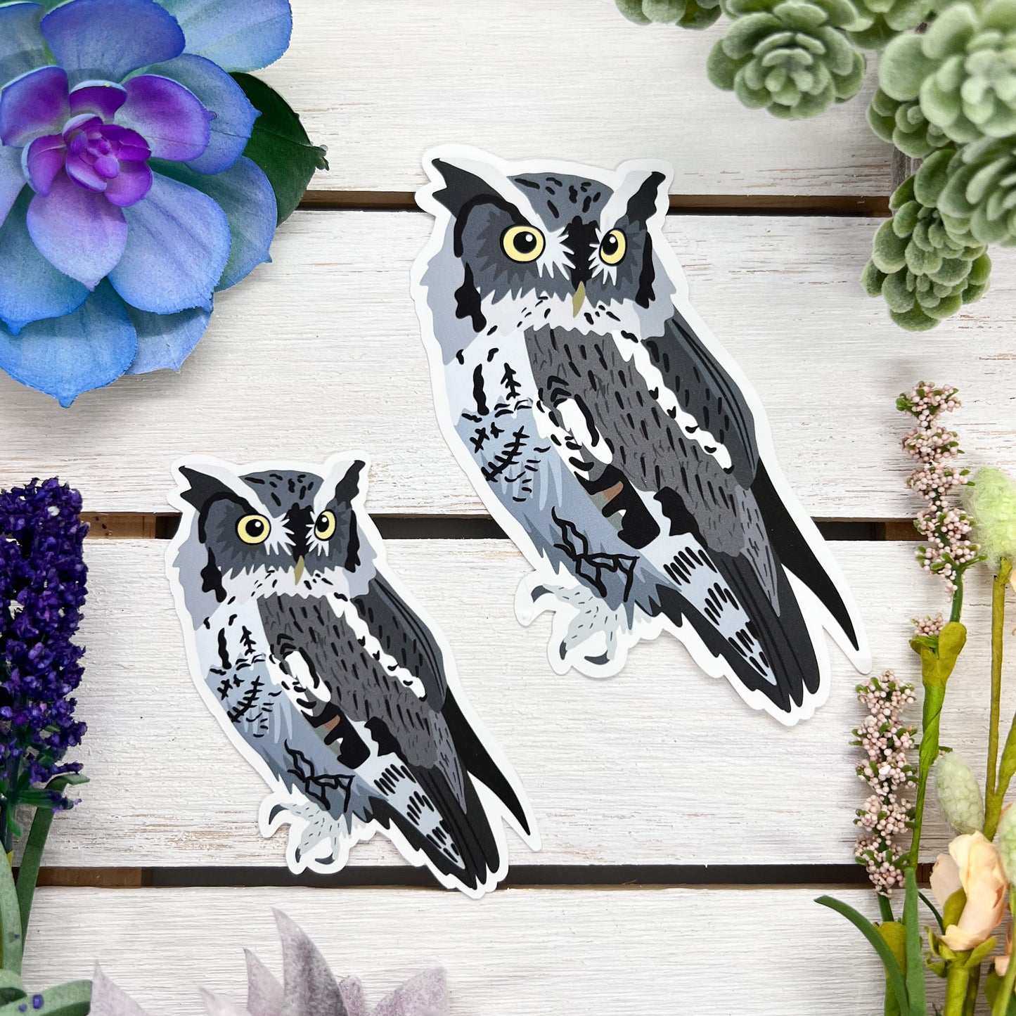 Eastern Screech Owl Sticker