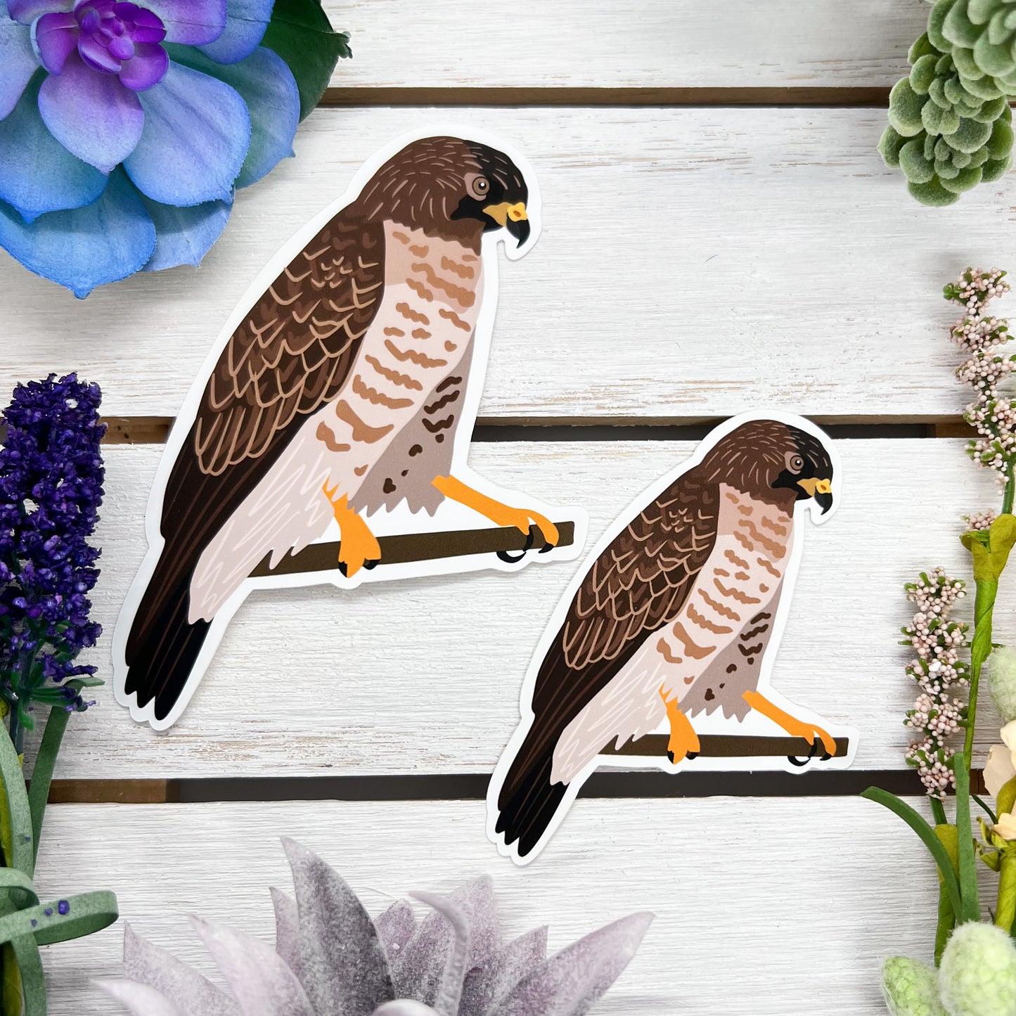 Broad Winged Hawk Sticker