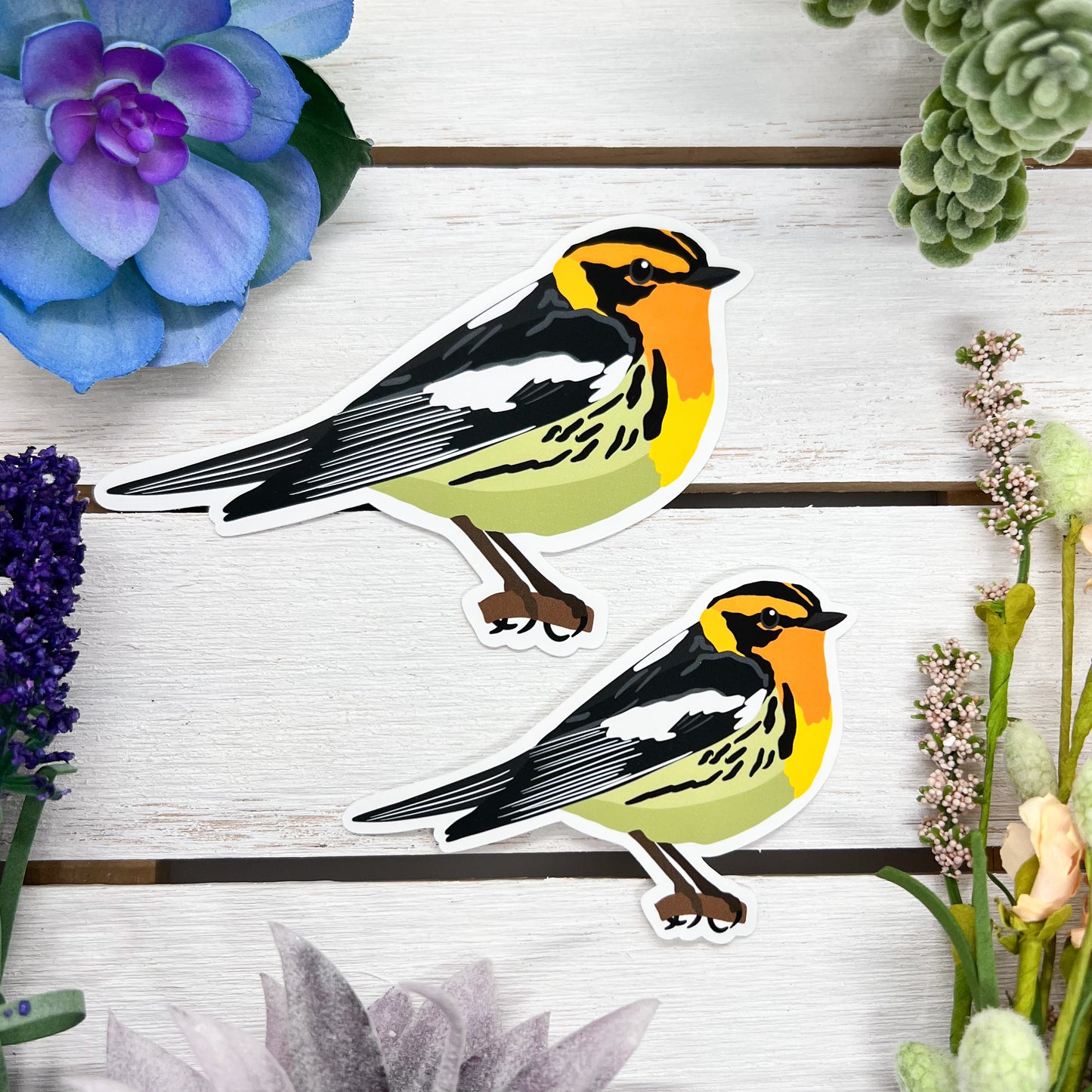 Blackburnian Warbler Sticker