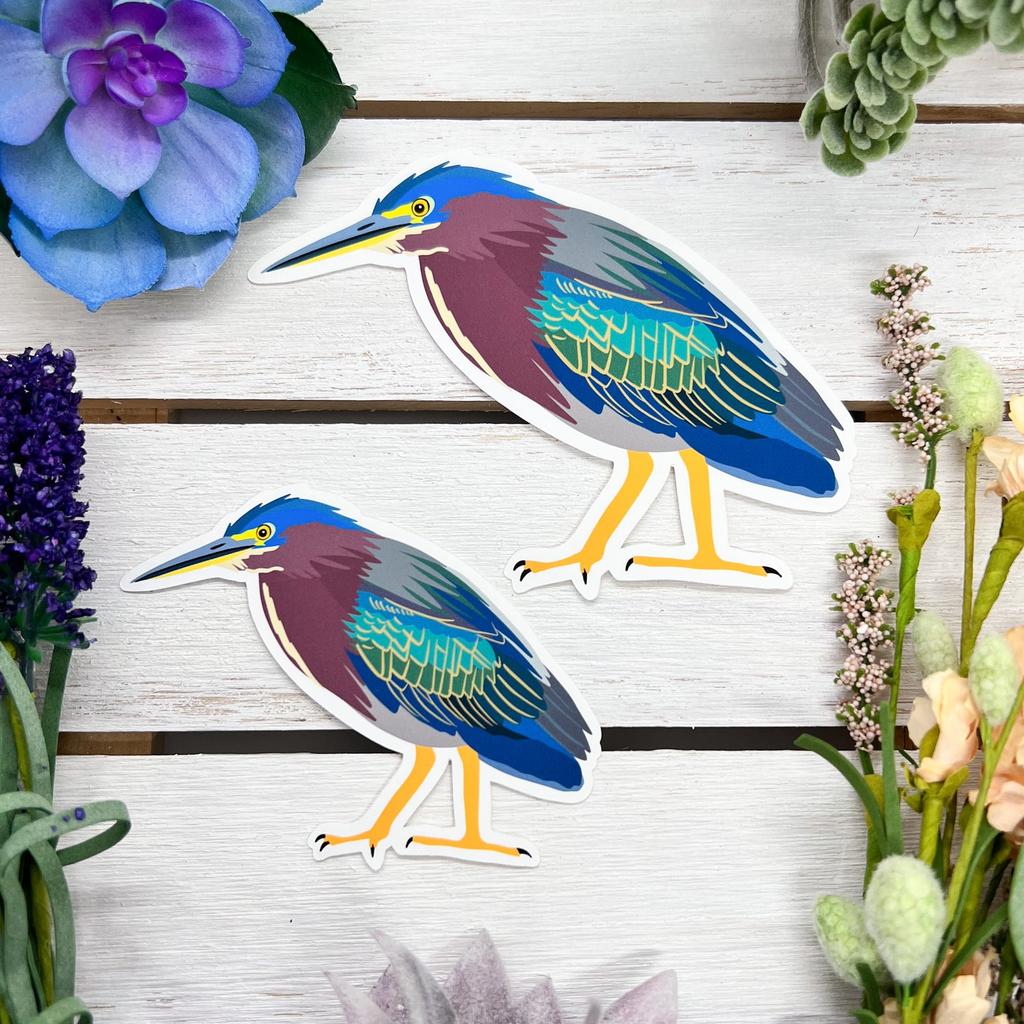 Green Heron Sticker