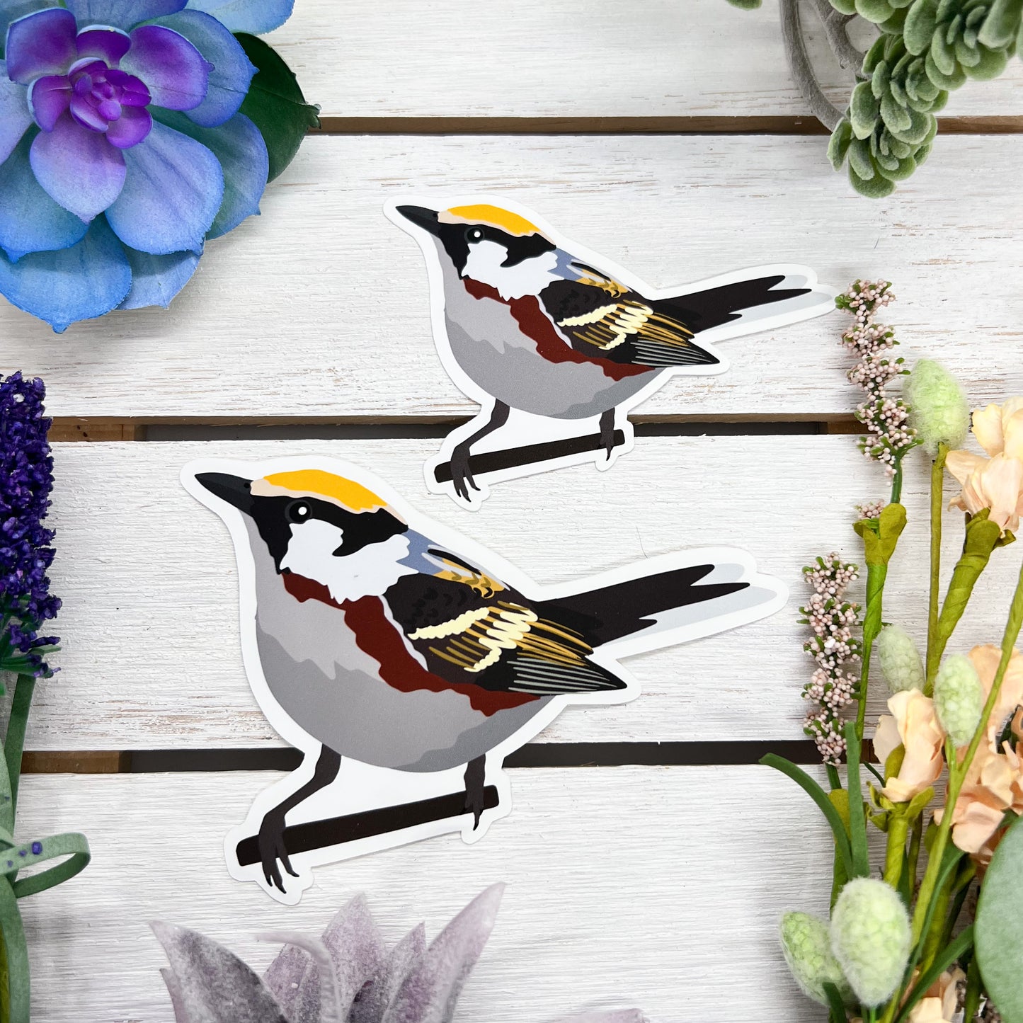 Chestnut Sided Warbler Sticker
