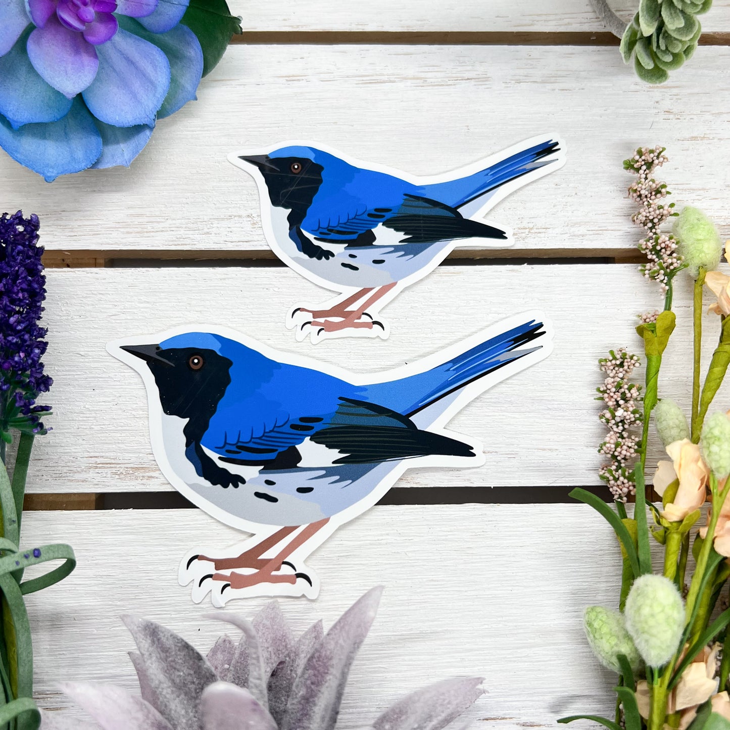Black Throated Blue Warbler Sticker