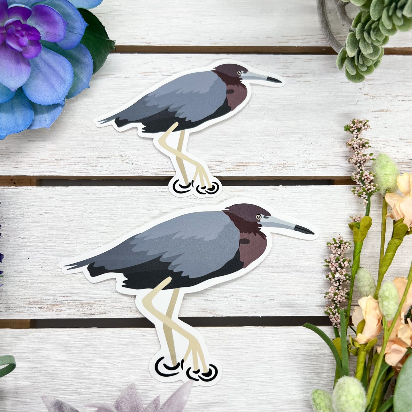 Little Blue Heron Sticker