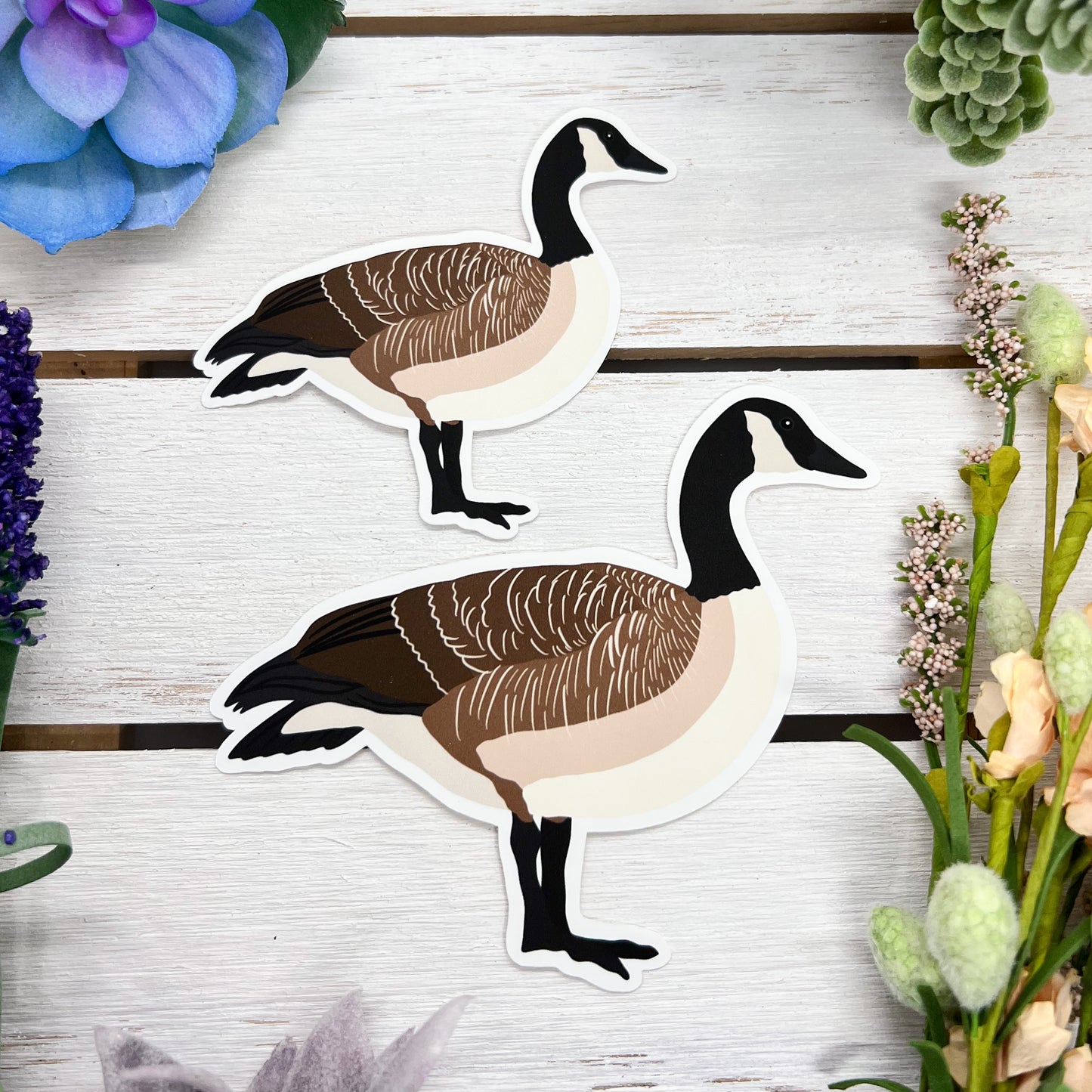Canada Goose Sticker