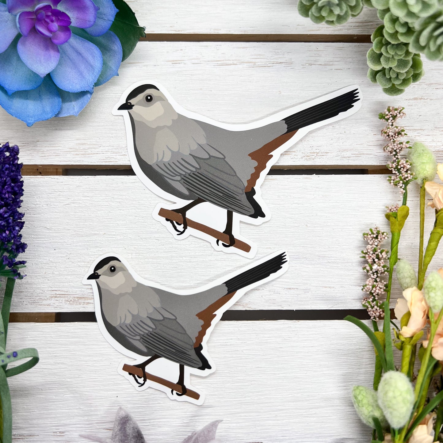 Gray Catbird Sticker
