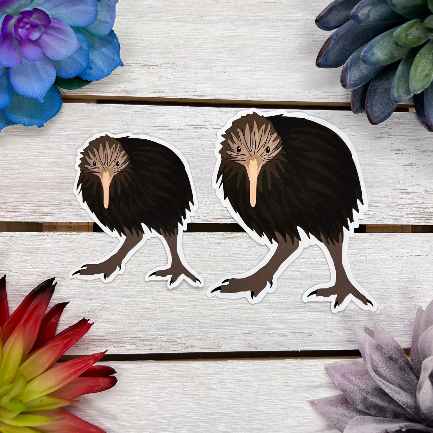Kiwi Sticker