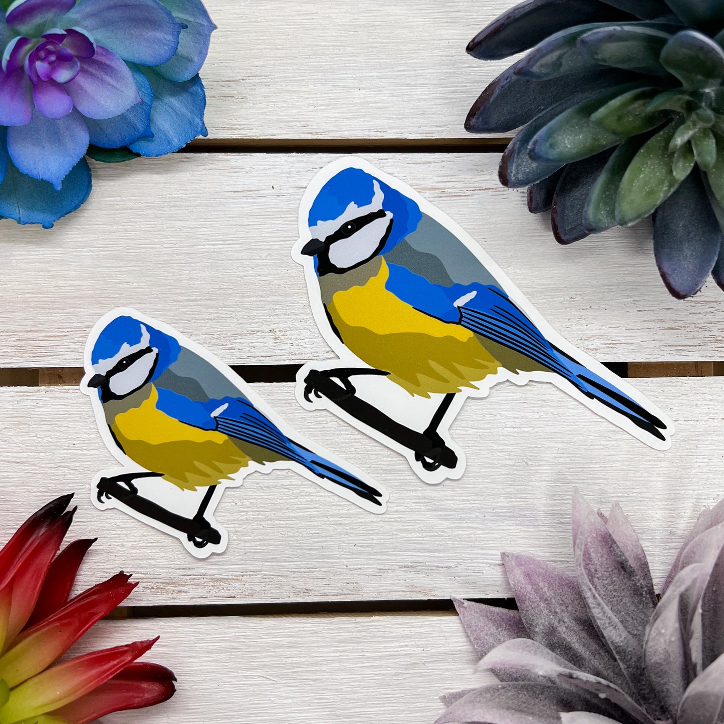 Blue Tit Sticker