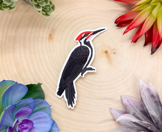 Pileated Woodpecker Sticker