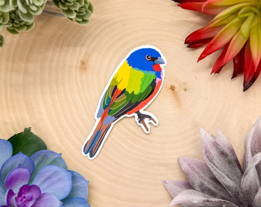 Painted Bunting Sticker