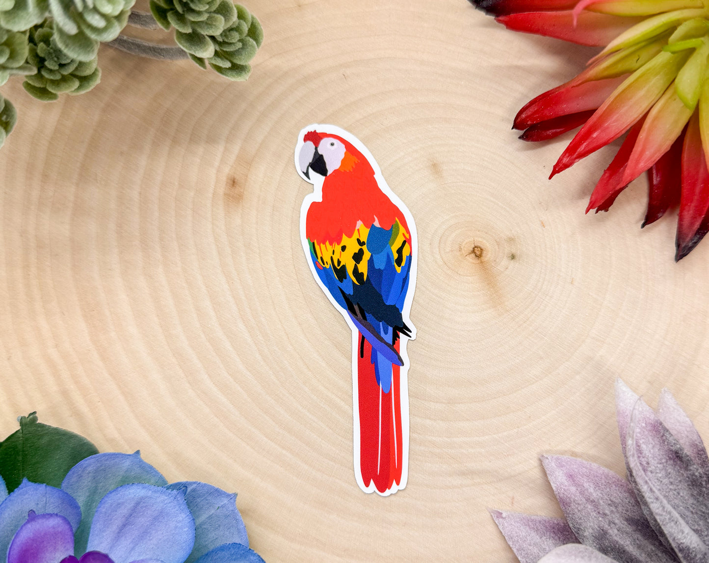 Scarlet Macaw Sticker