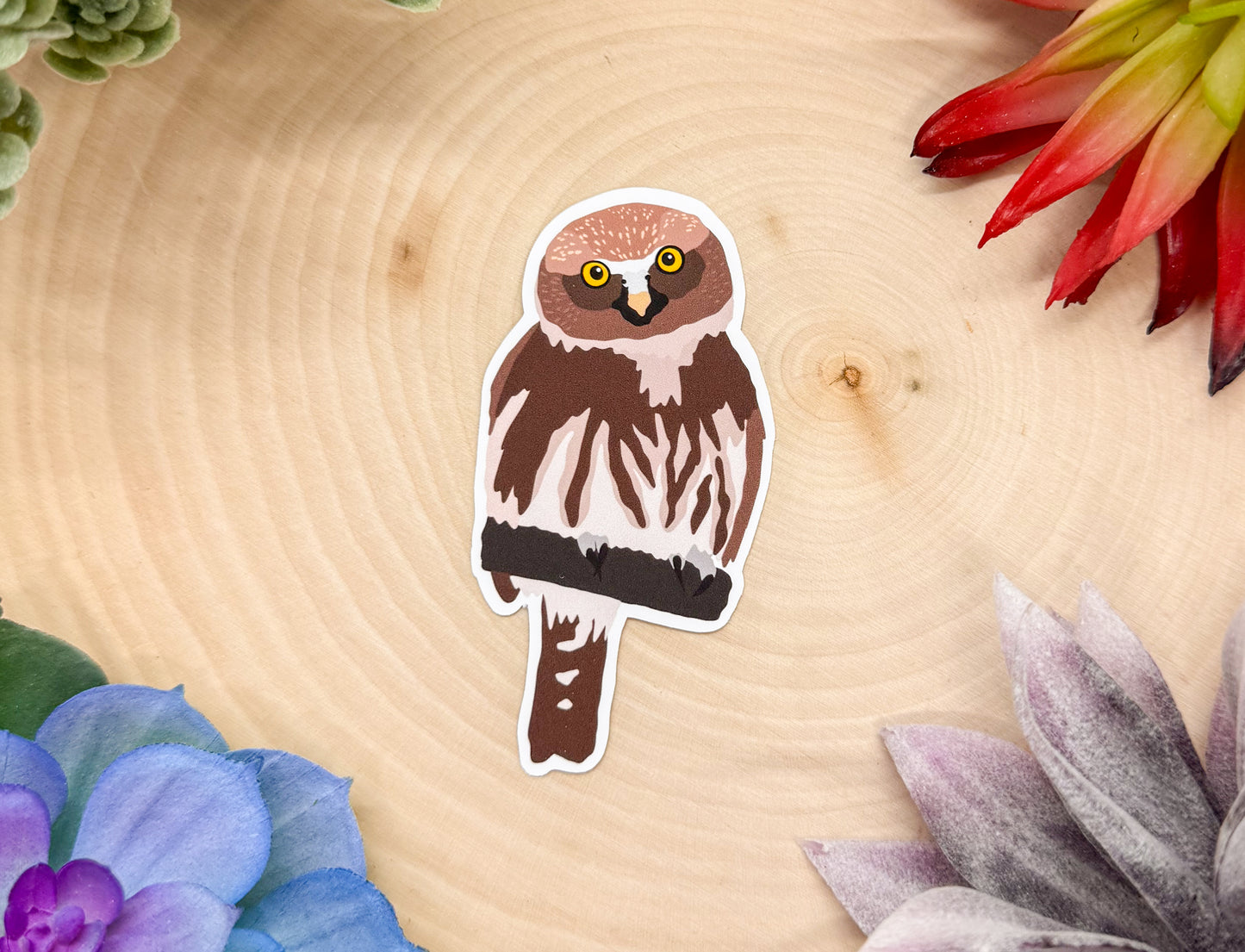 Pygmy Owl Sticker