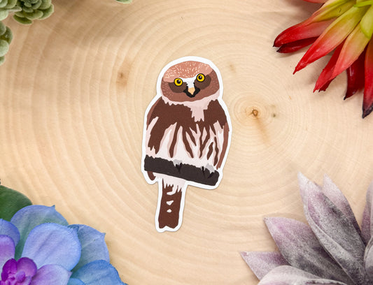 Pygmy Owl Sticker