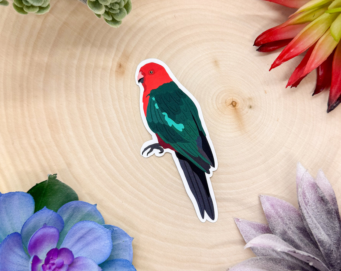 Australian King Parrot Sticker